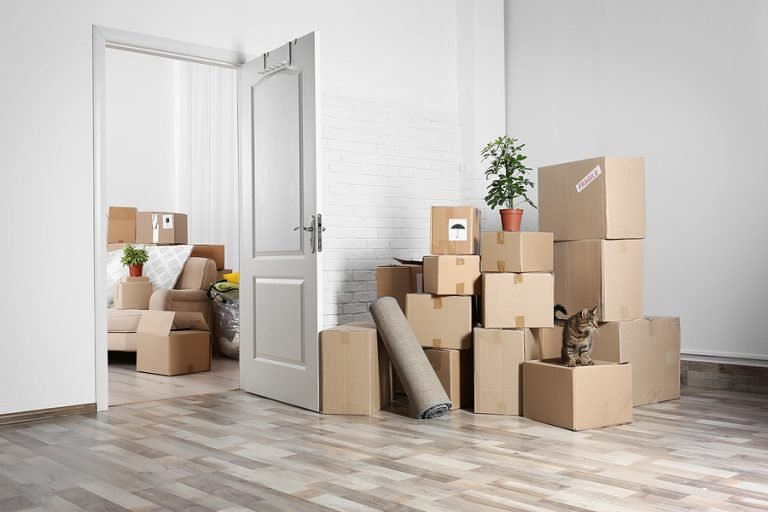 bigstock Packed household stuff for mov 167031398